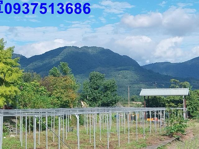 宜蘭三星農地-8