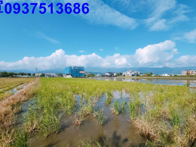 宜蘭礁溪農地-1