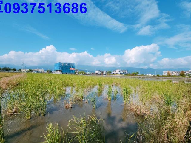 宜蘭礁溪農地-3