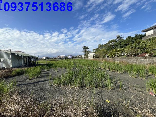 宜蘭羅東農地-14