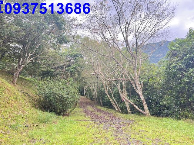 宜蘭礁溪農地-13