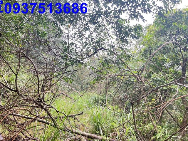 宜蘭土地宜蘭農地三星農地冬山農地