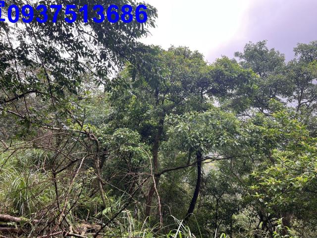 宜蘭礁溪農地-2