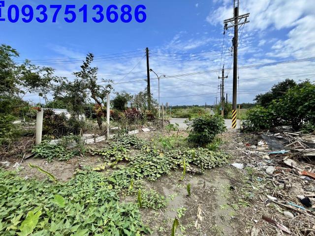 宜蘭壯圍農地-1