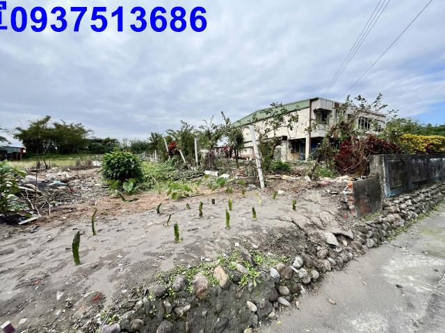 宜蘭壯圍農地-8