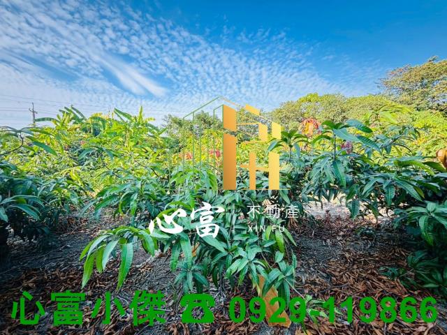 高雄燕巢農地-0