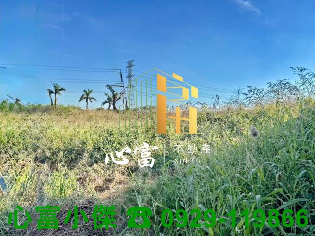 高雄湖內工業地-0