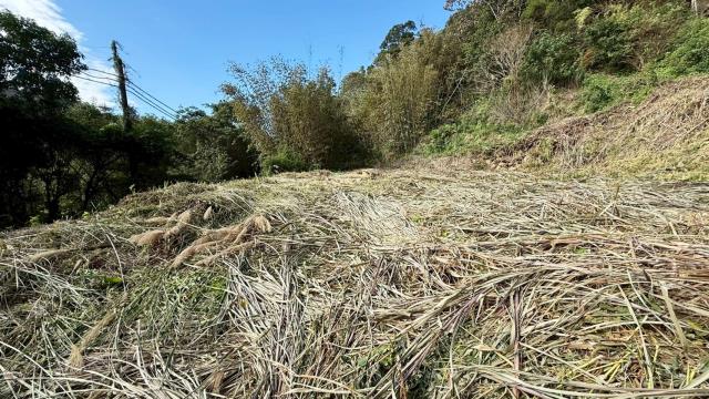 桃園市中壢區新竹區房屋出售