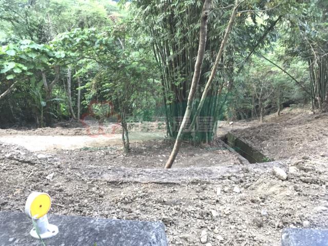 太平山坡地-11