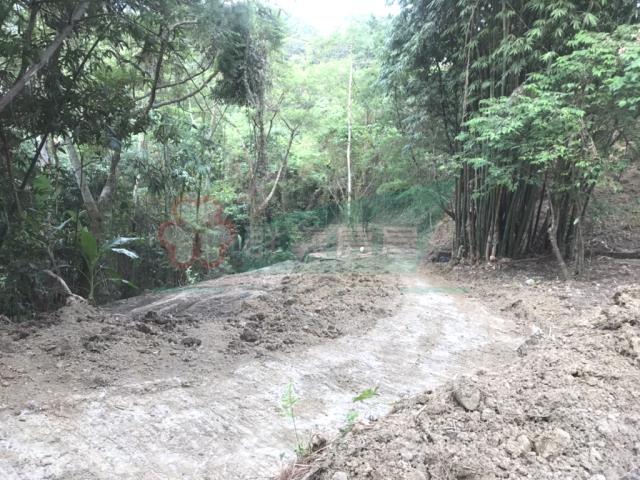 太平山坡地-12