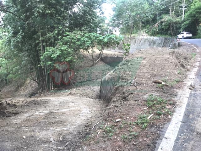 太平山坡地-13