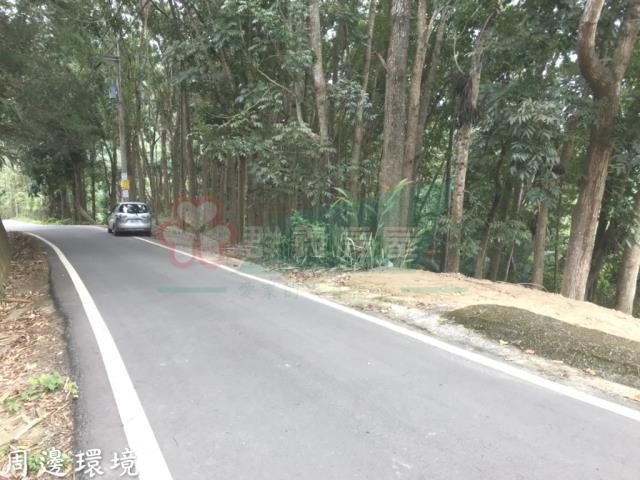 太平山坡地-6