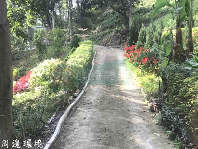 太平山坡地-7