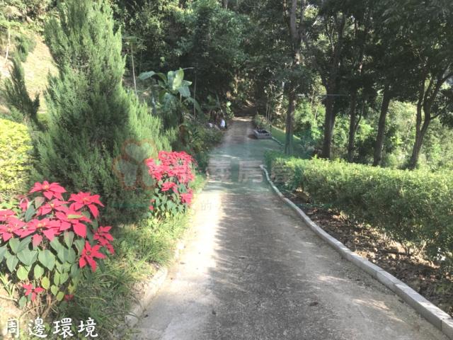 太平山坡地-8