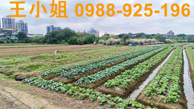 桃園農地-1