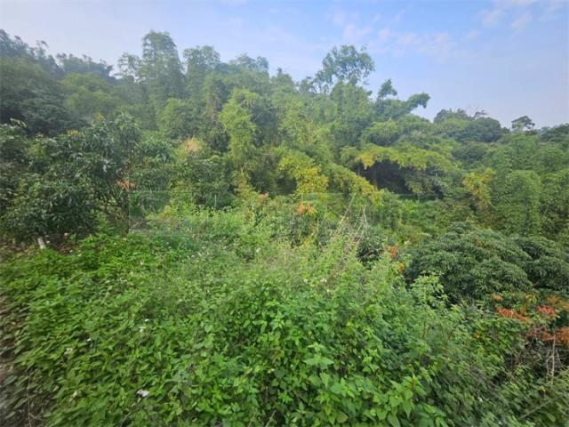 高雄大樹農地-7