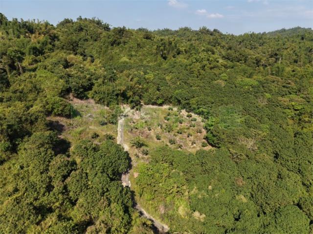 高雄大樹農地-0