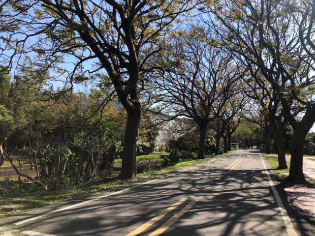 台中神岡農地-5