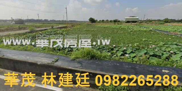 官田法拍農地-1