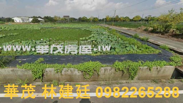 官田法拍農地-3