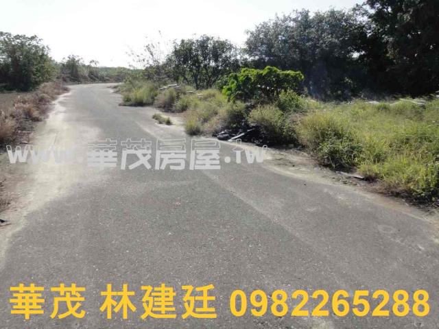 將軍法拍農地-0