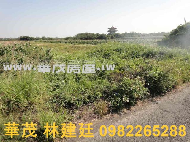 將軍法拍農地-3