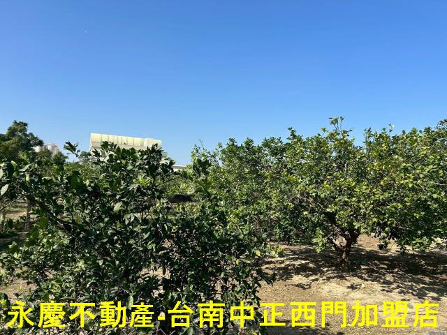 台南麻豆農地-13