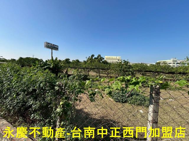 台南麻豆農地-5