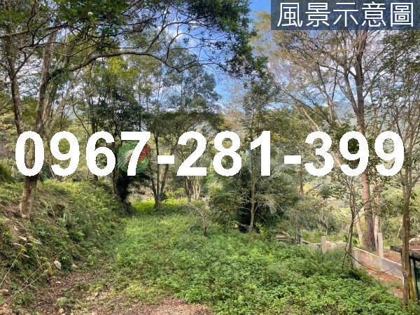 苗栗南庄農地-13