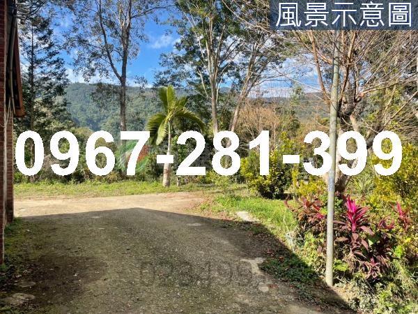 苗栗南庄農地-5