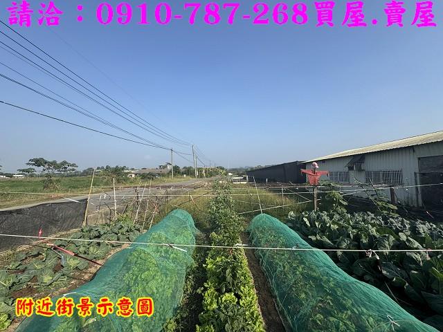 台南柳營農地-14