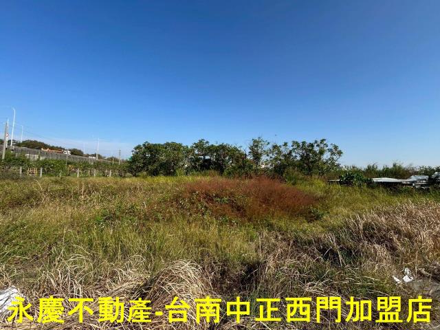 台南麻豆農地-9