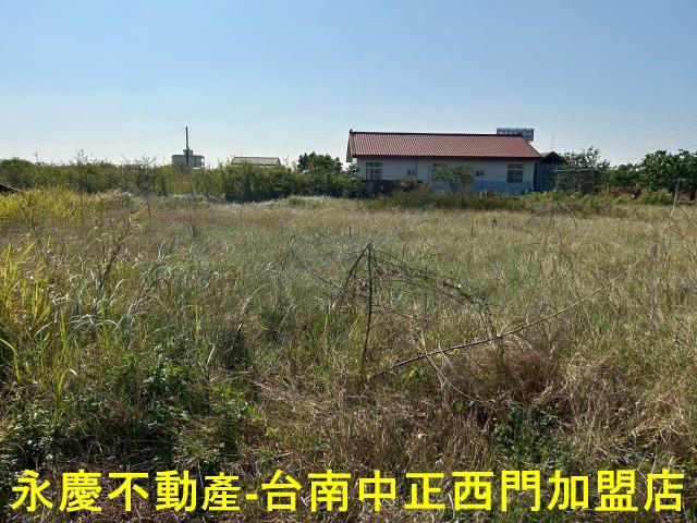 台南麻豆農地-5