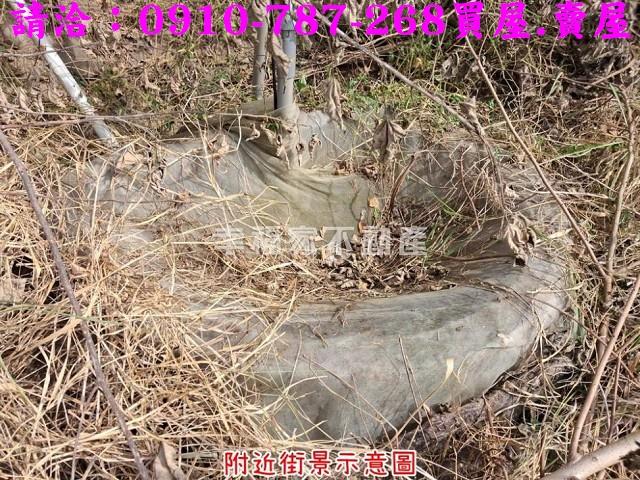 台南楠西農地-4