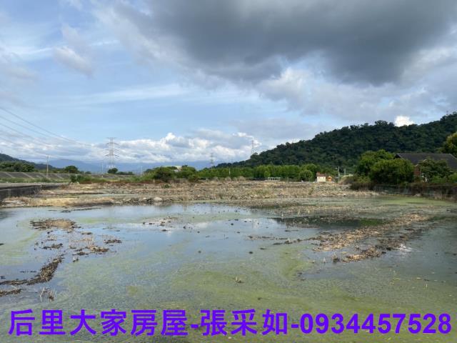 台中后里農地-4