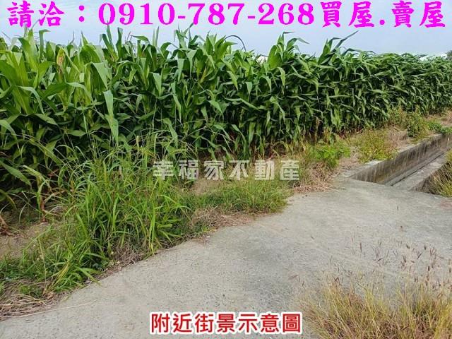 台南西港農地-4