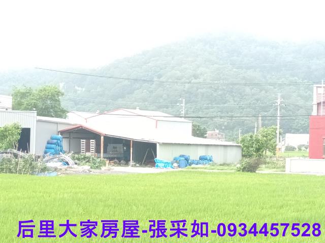 苗栗苑裡農地-3