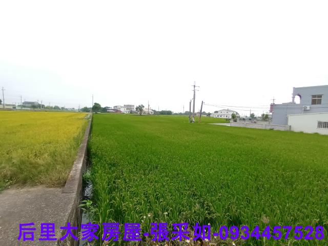 苗栗苑裡農地-3
