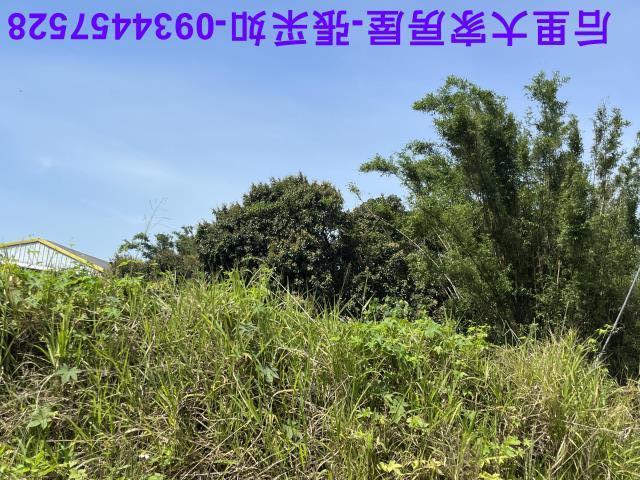 台中后里農地-4