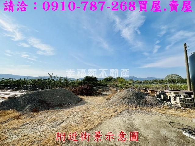 台南楠西農地-9