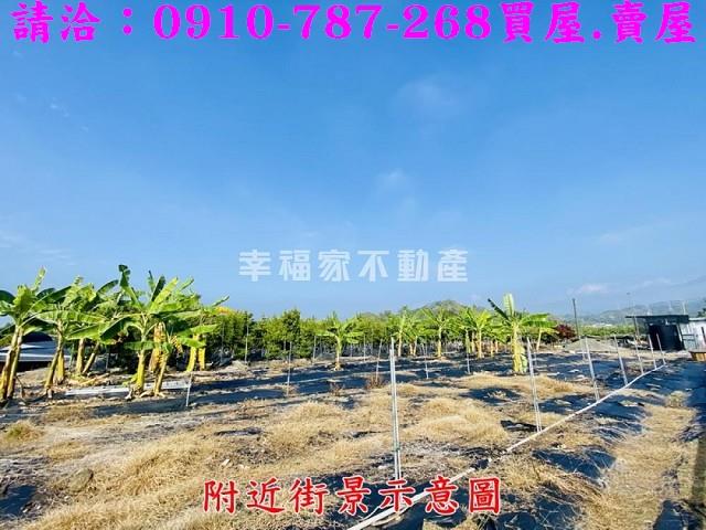 台南楠西農地-12