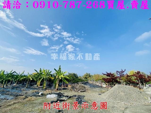 台南楠西農地-6