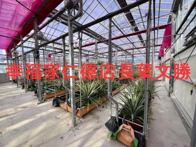 新營區農地出售