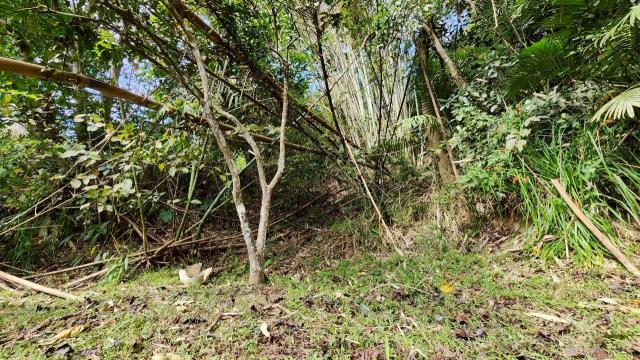 新竹北埔山坡地-2