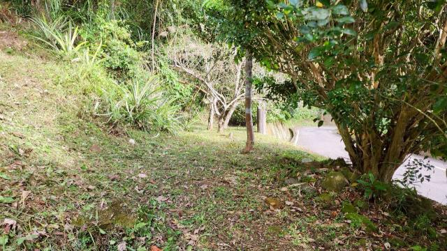 新竹北埔山坡地-7