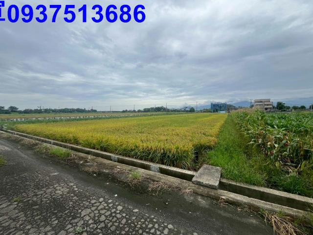 宜蘭員山農地-9