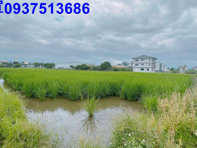 宜蘭宜蘭市農地-2