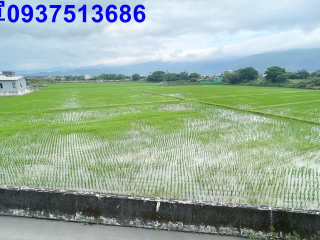 宜蘭礁溪農地-9