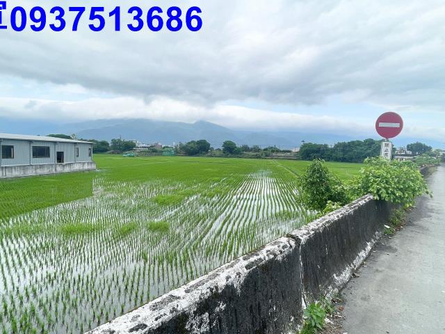 宜蘭礁溪農地-13