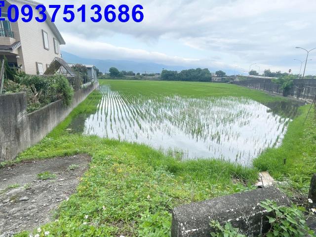 宜蘭礁溪農地-1